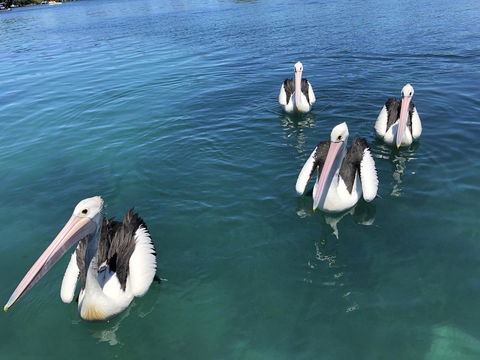 Aquarius 9 - Accommodation Port Macquarie 4