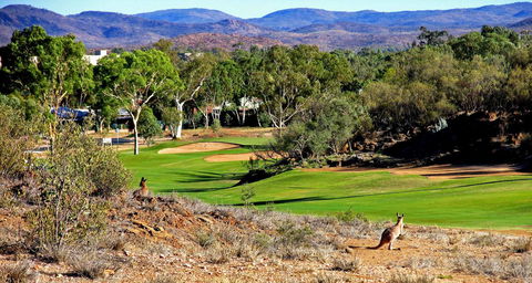 Desert Palms Alice Springs - Accommodation Port Macquarie 30