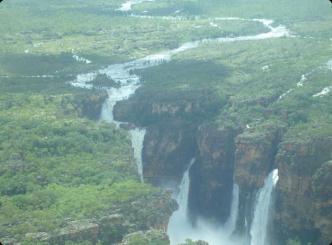 Mercure Kakadu Crocodile - Accommodation Port Macquarie 33