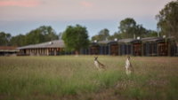 Book Point Stuart Accommodation Vacations Accommodation Port Macquarie Accommodation Port Macquarie