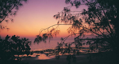 Darwin Beach Escape Holiday Home - Accommodation Port Macquarie 25