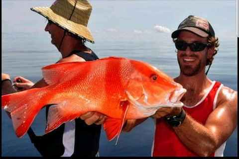 Darwin Beach Escape Holiday Home - Accommodation Port Macquarie 39