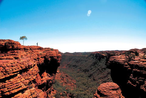 Discovery Resorts - Kings Canyon - Accommodation Port Macquarie 38