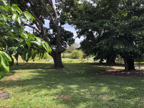 Mount Bundy Station - Accommodation Port Macquarie 4