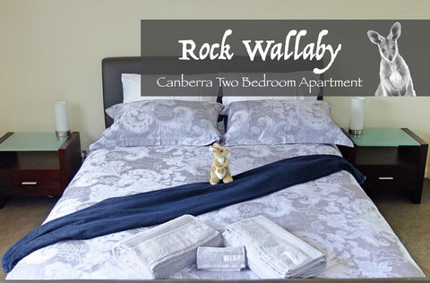 Rock Wallaby - Accommodation Port Macquarie 4