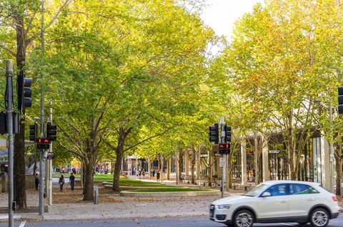 Highgate Executive Apartment City Walk Canberra - Accommodation Port Macquarie 37