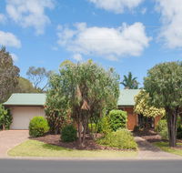 Bottlebrush - Accommodation Port Macquarie