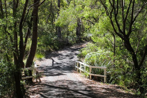 Brookside, Margaret River - Accommodation Port Macquarie 1