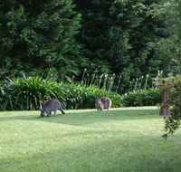 Bundanoon 2578 - Accommodation Port Macquarie