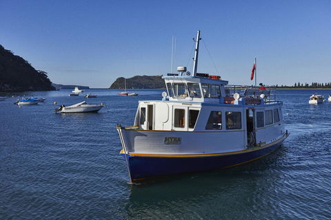 Cape Mackerel Cabin With Magic Palm Beach & Pittwater Views - Accommodation Port Macquarie 2