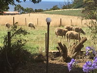 Book Table Cape Accommodation Vacations Accommodation Port Macquarie Accommodation Port Macquarie