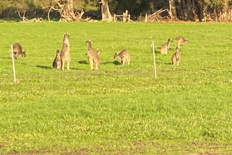 Carbunup Cottage - Accommodation Port Macquarie 0