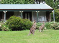 Book Mount Victoria Accommodation Vacations Accommodation Port Macquarie Accommodation Port Macquarie