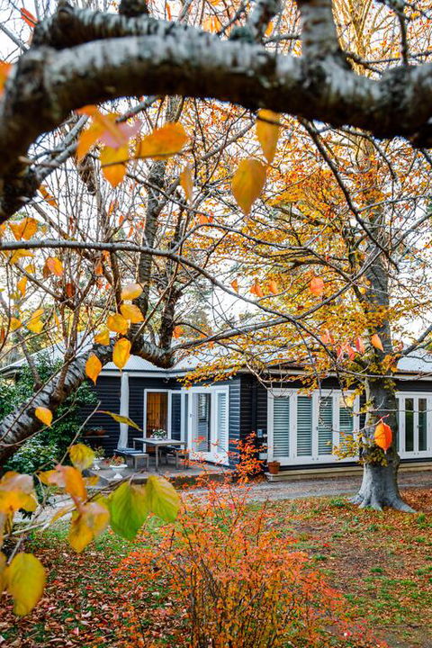 Charming Mountain Cottage - Accommodation Port Macquarie 3