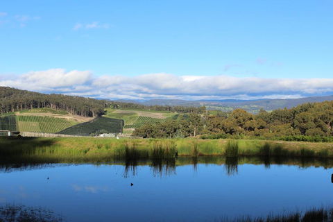 Cherryview Cygnet - Accommodation Port Macquarie 1