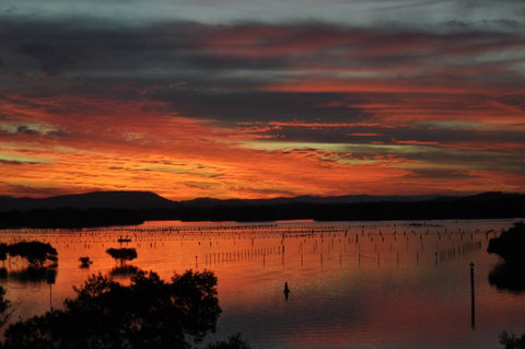 CHILL-OUT LAKESIDE @ FORSTER - Accommodation Port Macquarie 3