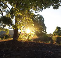 Clarendon Forest Retreat - Accommodation Port Macquarie
