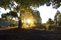 Book Possum Brush Accommodation Vacations Accommodation Port Macquarie Accommodation Port Macquarie