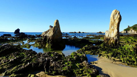 Coastal Comfort Motel - Accommodation Port Macquarie 3