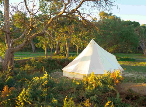 Coonawarra Bush Holiday Park - Accommodation Port Macquarie 0
