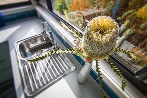 Coorong Cabins - Accommodation Port Macquarie 3