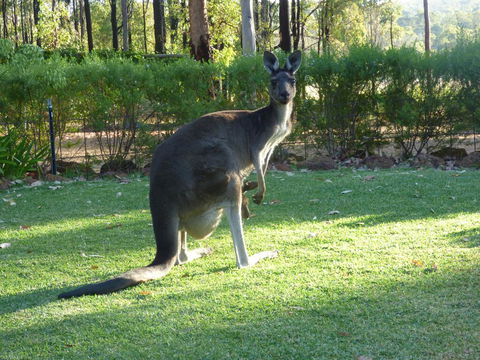 Country Charm Retreat B&B - Accommodation Port Macquarie 2