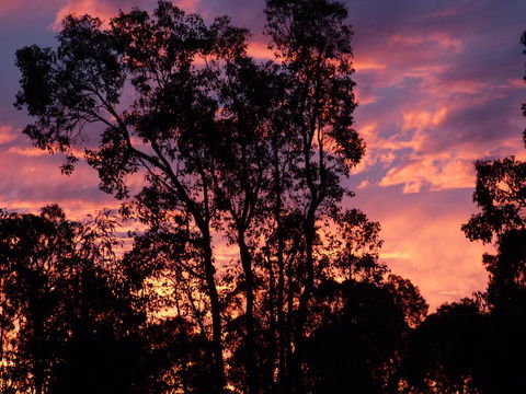 Country Charm Retreat B&B - Accommodation Port Macquarie 1
