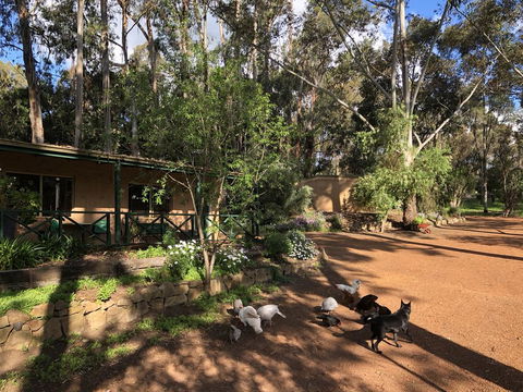 Country Cottages Of Bridgetown - Accommodation Port Macquarie 1