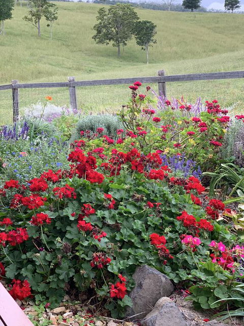 Country Mile Escape - Accommodation Port Macquarie 0