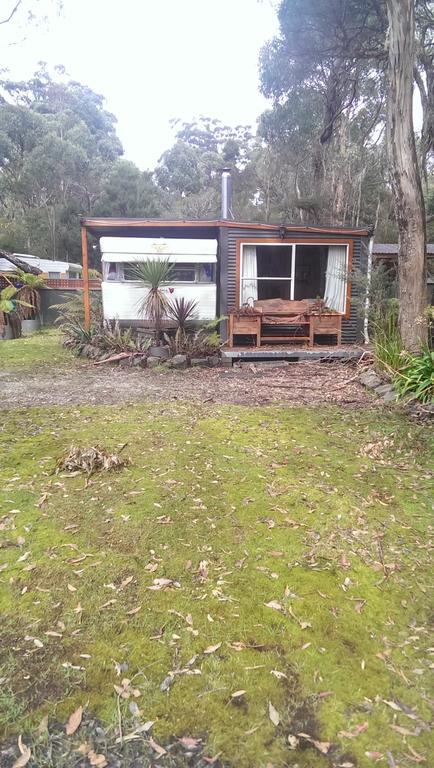 Crayfish Creek Van & Cabin Park - Accommodation Port Macquarie 3