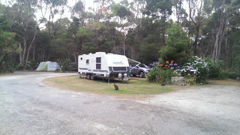 Crayfish Creek Van & Cabin Park - Accommodation Port Macquarie 0