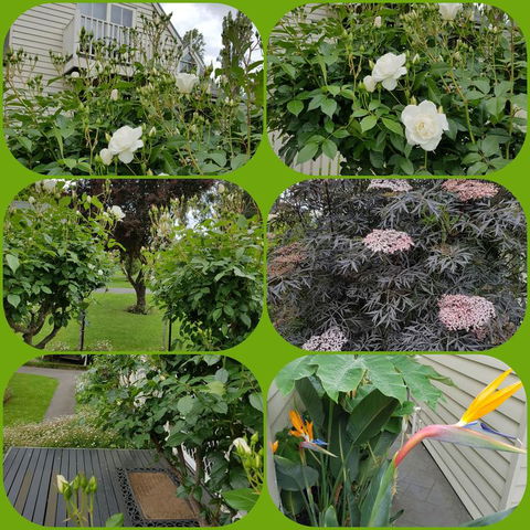 Creek Cottage Bed And Breakfast - Accommodation Port Macquarie 3