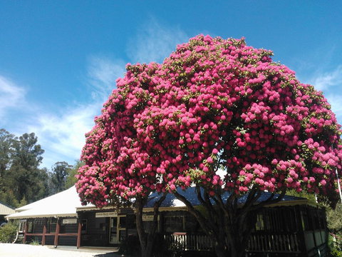 Crossways Country Inn - Accommodation Port Macquarie 0