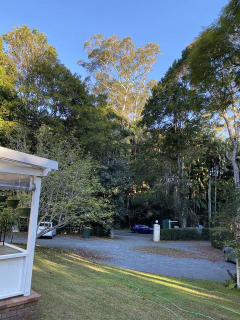 Curtis Falls Studio-Apartment - Accommodation Port Macquarie 3