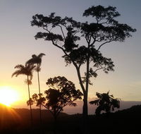 Daintree Holiday Homes - Yurara - Accommodation Port Macquarie