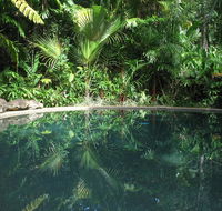 Daintree Rainforest Retreat Motel - Accommodation Port Macquarie