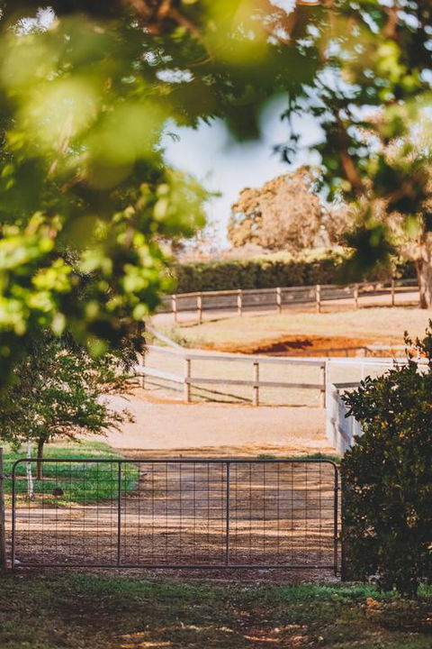 Dalblair Bed & Breakfast - Accommodation Port Macquarie 3