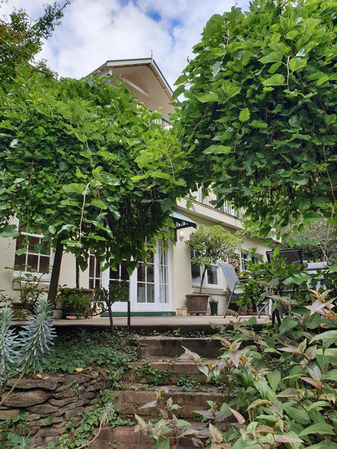 Davaar Hideaway Leura - Accommodation Port Macquarie 0