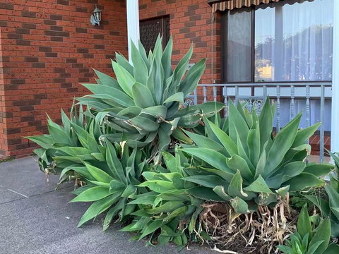 Delicate And Cozy Bedroom In Bentleigh East - Accommodation Port Macquarie 2