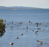 Denmark Waters BB - Accommodation Port Macquarie