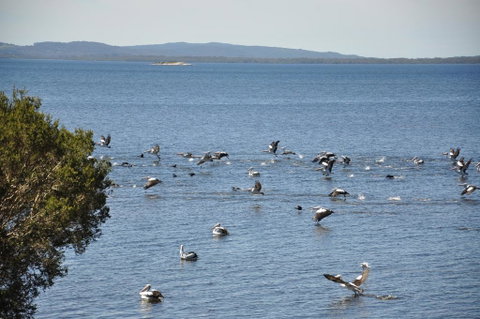 Denmark Waters B&B - Accommodation Port Macquarie 0