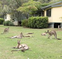 Depot Beach Cabins - Accommodation Port Macquarie