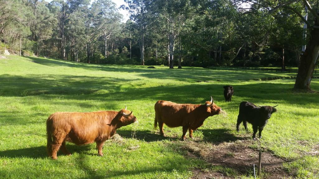 Glenhaven NSW Accommodation Port Macquarie