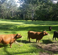Dingley Dell - Accommodation Port Macquarie