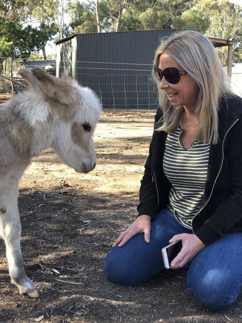 Donkey Tales Farm Cottages - Accommodation Port Macquarie 1