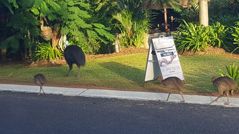 Driftwood Bed And Breakfast - Accommodation Port Macquarie 1