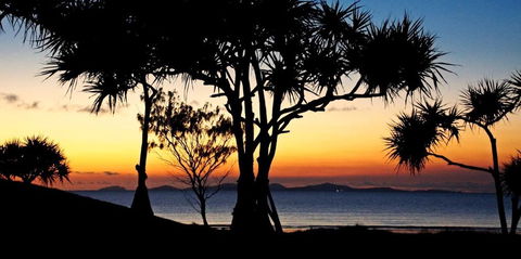 Driftwood Motel And Holiday Units - Accommodation Port Macquarie 2