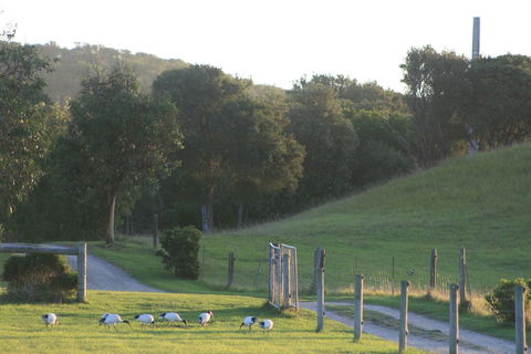Driftwood Villas - Accommodation Port Macquarie 1