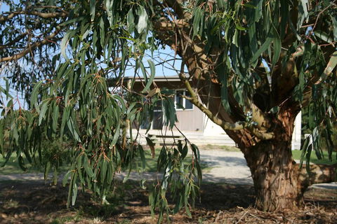 Driftwood Villas - Accommodation Port Macquarie 3