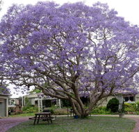 Ecotel Narooma - Accommodation Port Macquarie
